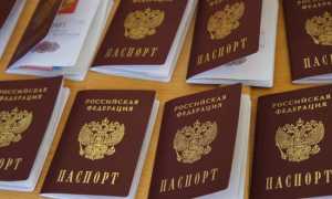 Как правильно написать заявление на получение российского гражданства. Бланк образец для скачивания.